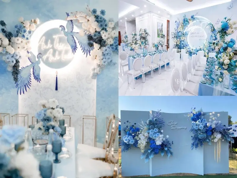 Backdrop-menh-Thuy