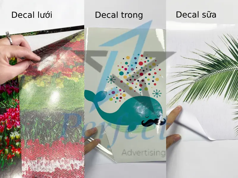 Các chất liệu của dịch vụ in decal lấy liền tại Perfect là những loại nào