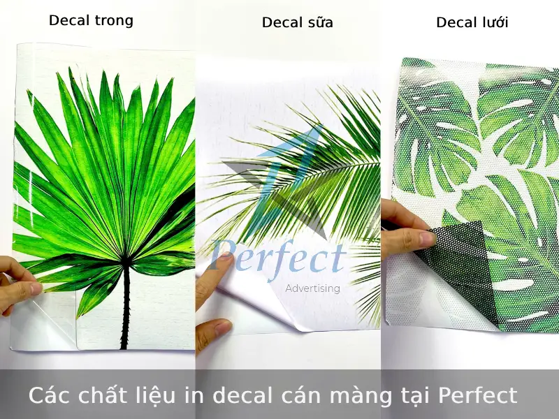 Các chất liệu in decal cán màng tại Perfect