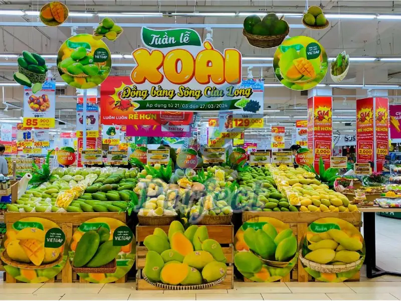 Những tiêu chí chọn đơn vị thi công POSM chất lượng