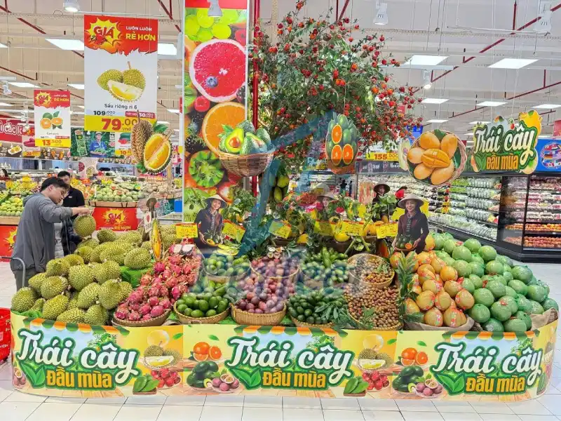 mẫu display island trưng bày trái cây